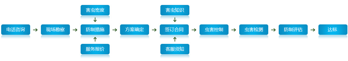 服務流程
